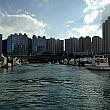 青い空、青い海、白いヨット、煌びやかなジャンボレストラン、そして後ろにそびえ立つ高層マンション。香港ならではの光景です。