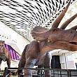 <b>YOHO MALL <br>【「#DINOLAB恐龍實驗室」展覽】<br>　期間：～8月24日（金）<br>場所：YOHO MALL中庭、主廣場及白鷺公園入口<br>時間：10：00～22：00（展示）<br>料金：無料（一部有料）</b><br>台湾の恐竜イベントが丸ごと香港に！<br>恐竜の展示だけでなく、参加イベントも（有料）あり。<br>※写真をクリックでイベントホームページへ。