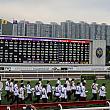 香港競馬初心者が、競馬以外の部分を楽しんできました！ 香港競馬 競馬 競馬場 沙田沙田競馬場
