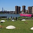ニューヨークで行きたい川沿いの公園、ベスト５♪