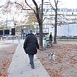 犬の散歩をする人、ジョギングをする人、朝はパリジャンの日課を垣間見られる時間です。