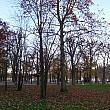 すっかり秋の風景になったリュクサンブール公園。朝の閑静な空気もいいものです。