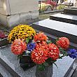 墓前に供えるのは菊の花が主流。日本と同じですね。