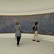 パリの美術館でも人気の高いオランジュリー美術館。モネの「睡蓮」が展示されています。大作すぎて写真に納まりきれません・・・。