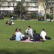 芝生の上ではピクニックをする人たちの姿も。