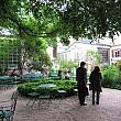 緑に囲まれた庭園です。ここでは併設のカフェのメニューをテラスで楽しむこともできます。