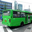 ＜グリーンバス・マウルバス型・大きめ＞ 
