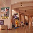 しばさきのキムチとバット～日韓野球考・第１４回「プレーオフは注目！インチョンの龍」