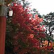 写真でみる慶州の紅葉！【２０１０年】 慶州紅葉