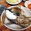 ２．甲羅にご飯をのせる。 