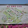 清州（チョンジュ）動物園に行ってきました！！ 動物園 清州 地方 忠清北道 地方の動物園 韓国の動物園 地方の珍しいスポットドラマロケ地