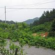 韓国で初めて体験農場へ！フルーツ狩りに行ってきました。 サンタルギ ポップンチャ フルーツ狩りフルーツ狩り体験