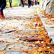 キレイな紅葉を見ながら慶州を観光して見て下さいね＾＾