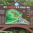 ソウルから気軽に行ける富川の自然生態公園に行ってきました！