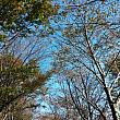 今日は秋晴れ！キレイな青空の釜山です！！