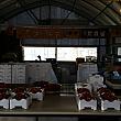 【プチ風景】韓国でも農場では苺狩りの季節ですヨ！ いちご イチゴ狩り いちごジャム食べ放題