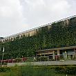 やってきたのは農業技術を研究するソウル市農業技術センター。まわりは山に囲まれ、畑が広がり、建物はグリーンカーテンに覆われています。