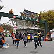 ソウルから高速バスで約３時間30分、全羅北道（チョルラプット）の淳昌（スンチャン）醤類祭りに行ってきました。今年2015年は10月29日から11月１日まで開かれました。