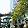 地下鉄２号線駅三（ヨクサム）駅にやってきました。都心のオフィスビル群の中の紅葉に癒されます・・・