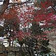 釜山で紅葉を見るなら、こちら梵魚寺がオススメです。