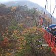 みえぽんの143回目韓国旅行　剛泉山郡立公園(屏風瀑布、剛泉寺、懸垂橋、九将軍瀑布)への旅