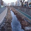 今朝もマイナス１４℃まで気温が下がったソウル。小さな川はすっかり凍っています！