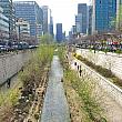 ビルに囲まれた都心に流れるソウルのオアシス、清渓川（チョンゲチョン）！