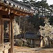 18世紀に建てられた韓屋（韓国の伝統家屋）。