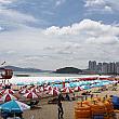釜山っ子に聞いてみた！「夏の釜山の楽しめるスポットはどこ？」 オススメスポット 夏のスポット 夏の海 釜山っ子 地元地元で人気