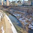 天気予報ではこの寒波も明日のお昼頃から徐々に和らぐとか。ソウルでは1年で一番寒い1月もあと1週間。もう寒波は来ませんように！