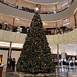 大きいクリスマスツリーが新世界デパートに～！