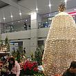 大きなクリスマスツリーがお出迎え～！