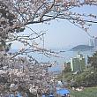 4月に訪れたい釜山の名所