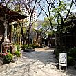 おやっ美術館と伝統茶屋が同じ敷地内に