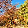 釜山で秋を見つけよう！