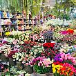 韓国は卒業入学シーズン！！市場に行くと、花束いっぱい！！