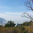 釜山も春はもう目の前！
