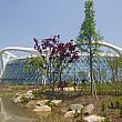 大きな公園の中に、温室の大きなドーム型の植物園があります！