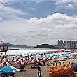 第24回釜山海祭り（プサンバダチュッチェ）