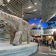 恐竜や古代生物の展示が豊富