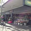 クロウズネストの入り口とも呼べるウィロビーロードの始まり地点に位置する高級スーパーマーケット、トーマス・ダックス。