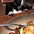 他の一匹は常連さんが投げるドリンクコースターをフリスビーのように追いかけて遊んで和気あいあい。ナビのテーブルだけ恨めしげにじ〜〜〜っと見つめられながら「ごめんねーこれは分けられないんだよー」と消化不良になりそうなほどのスピードで急いで完食。お皿を下げてもらったら犬も一緒に下がって次のお客さんに挨拶に…楽しくも精神力を問われるお食事タイムでした。