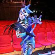 ディアボロ・ダンスシアターのトップスター扮するブルーキャット