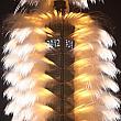 ナビより：台北101から放たれた花火の勢いが伝わる迫力ある一枚！密度の濃い花火！というのがこの一枚でわかりますよね？