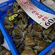 台湾粽(ちまき)、今年は15種類を食べ比べ！ ちまき チマキ 粽 端午節 ドラゴンボート 南門市場 香包屈原