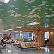 大きな木をイメージして葉が天井に広がった空間もありました〜♪ロビーが全体的にデザインされていて楽しいです