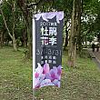 大安森林公園では2017台北杜鵑花季（つつじフェスティバル）を開催中！