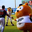ラミゴモンキーズでは、9月9日（土）、10日（日）の2日間に渡り桃園国際棒球場にて日本フェスタ「YOKOSO桃園」を開催しました。