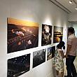 展示されている作品は全43作品。台湾だけでなく、日本、ドイツ、中国などで撮影された写真が展示されています。