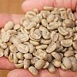 ロースト前の生のコーヒー豆は検査証明書と日本での検査が必要です！